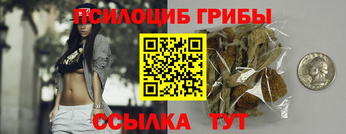 Псилоцибиновые грибы Psilocybe  Вход с VPN  Псилоцибиновые грибы GOLDEN TEACHER  Чебаркуль 